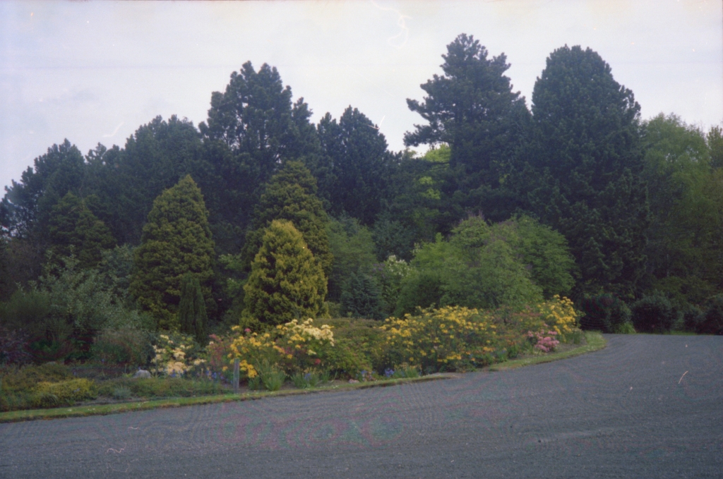 19790000-1981 SLALEY HALL Driveway Gardens 02.jpg